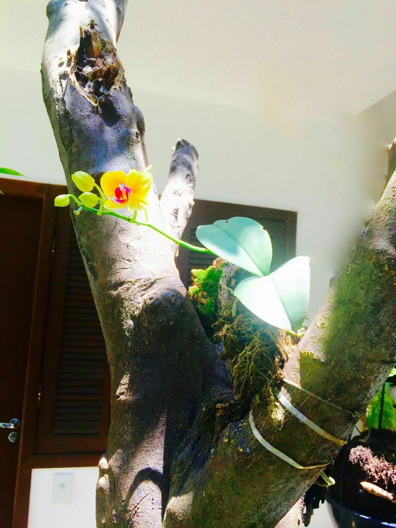 Club Suites - Aeroporto Congonhas São Paulo Kültér fotó